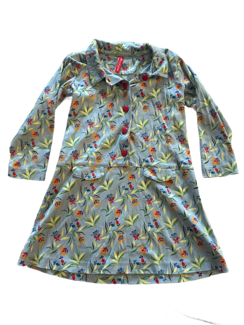 Hanna Andersson Light Blue Floral Button-Front Dress 4T
